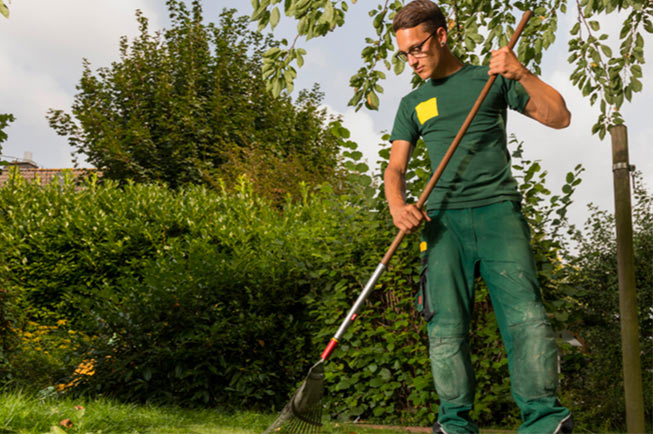 Landscaping, lawn care, and gardening are hard work and require expensive knowledge of soil types and plant species. That is where our team shines!